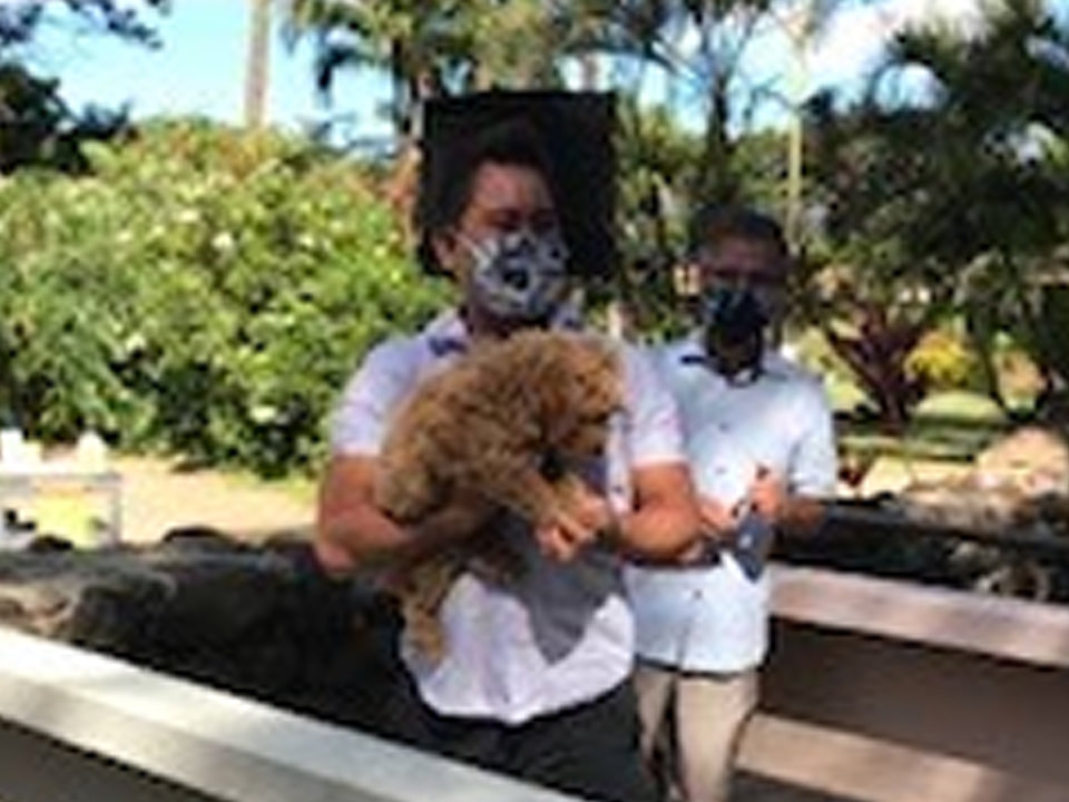 Pet Blessing in Honolulu
